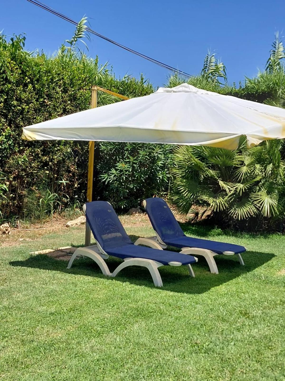 Cozy Studio - Monolocale - Fiumicino Aeroporto E Fiera - Self Check-In Exterior foto
